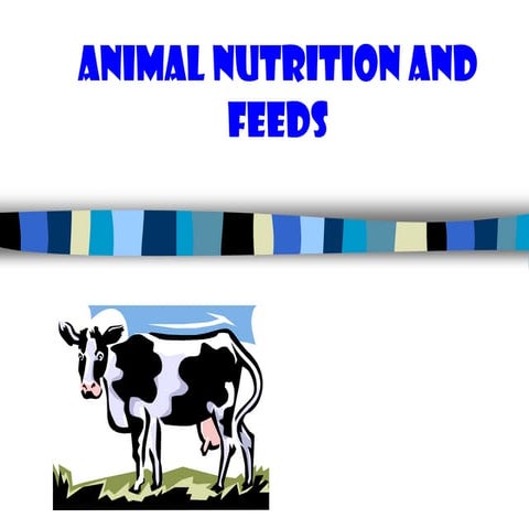 Animal feed and Nutrition