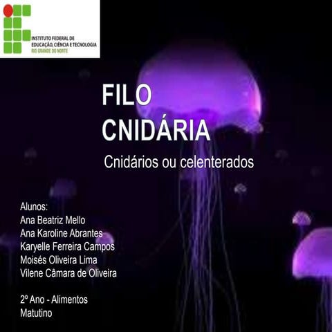 Filo Cnidária