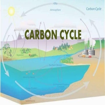 The carbon cycle between atmosphere and earth | PDF