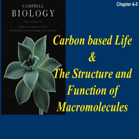 Chapter 04 Carbon Base Life