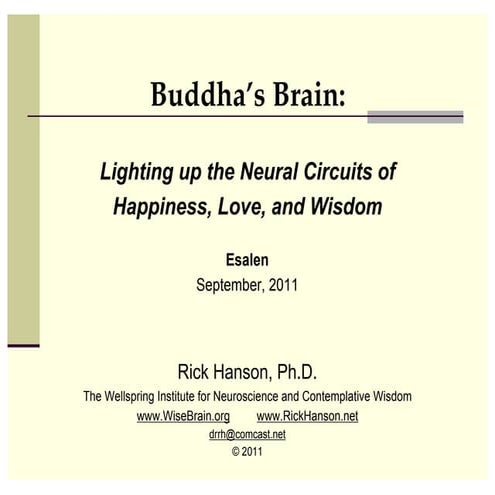 Buddha's Brain: Lighting Up the Neural Circuits of Happiness, Love and Wisdom