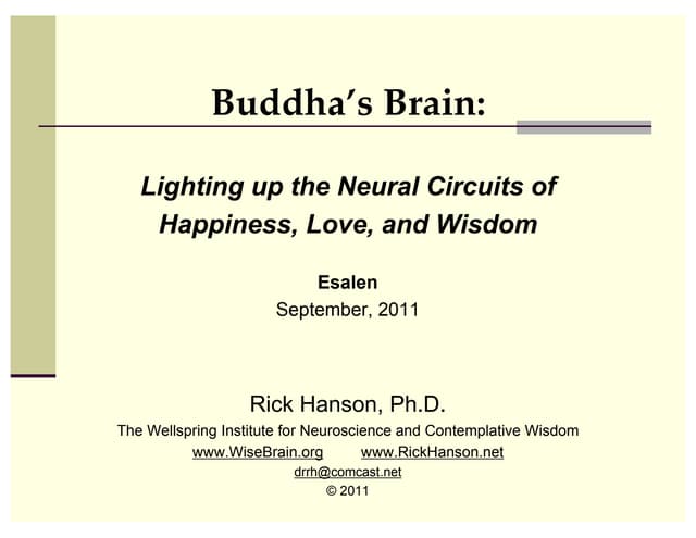 Buddha's Brain: Lighting Up the Neural Circuits of Happiness, Love and Wisdom