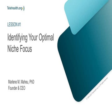 Identifying Your Optimal Niche Focus