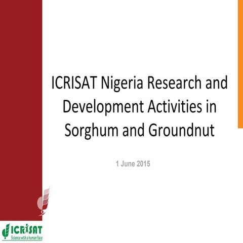ICRISAT Nigeria research and development activities in sorghum and groundnut