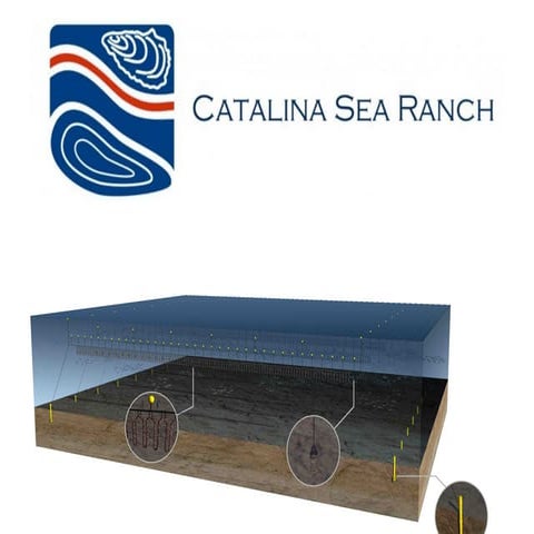 Catalina Sea Ranch | PPT