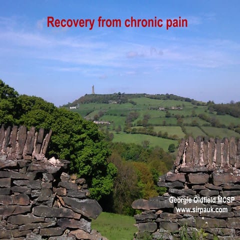Recovery from chronic pain is possible