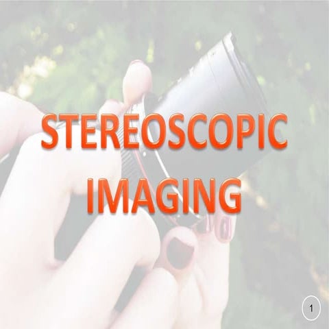 Stereoscopic Imaging