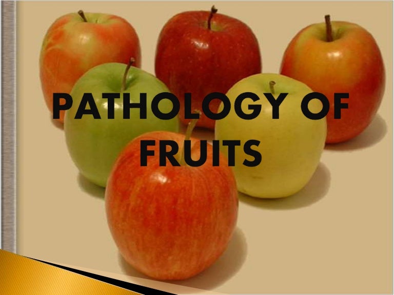 pathology of fruits fruit conservation causes of fruits disease bio