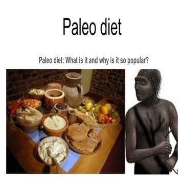 modern paleo diet