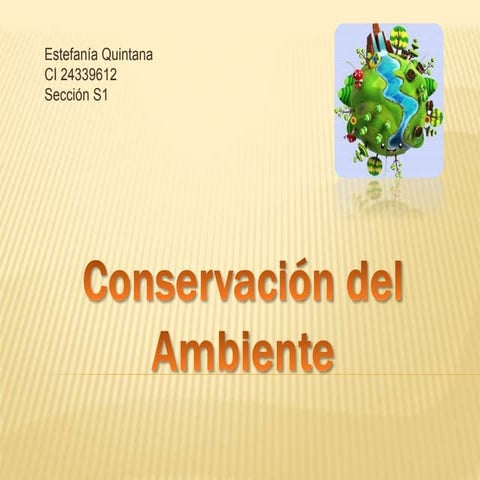 conservacion del ambiente
