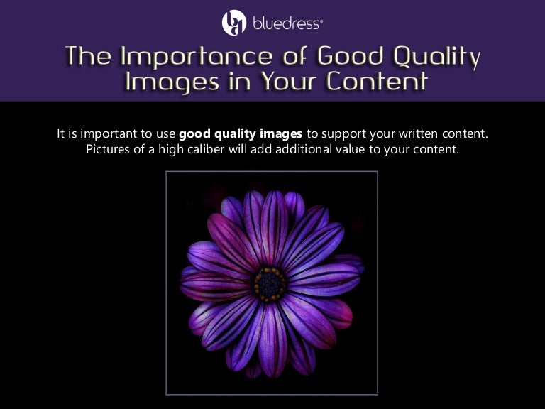 The Importance of Good Quality Images in Your Content