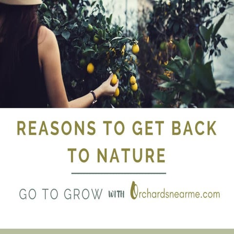 Boost creativity and productivity by getting back to nature. | PDF