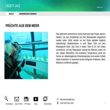Trends & Innovationen: Agriculture & Indoor-Farming 