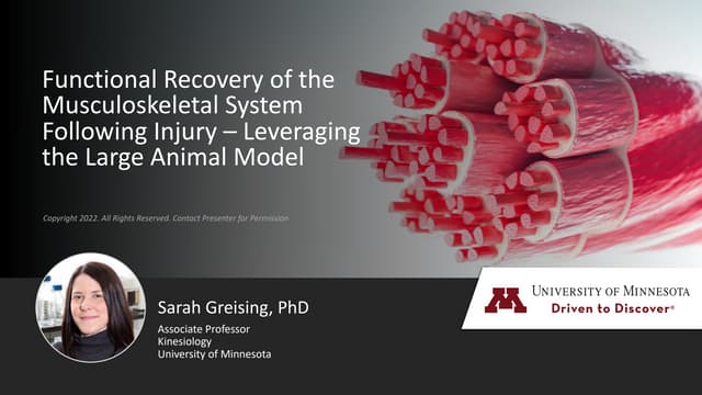 Functional Recovery of the Musculoskeletal System Following Injury - Leveraging the Large Animal Model