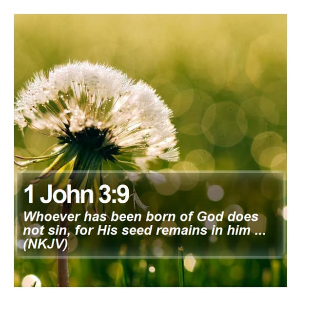 1 John 3:9 - Daily Bible Verse | PDF