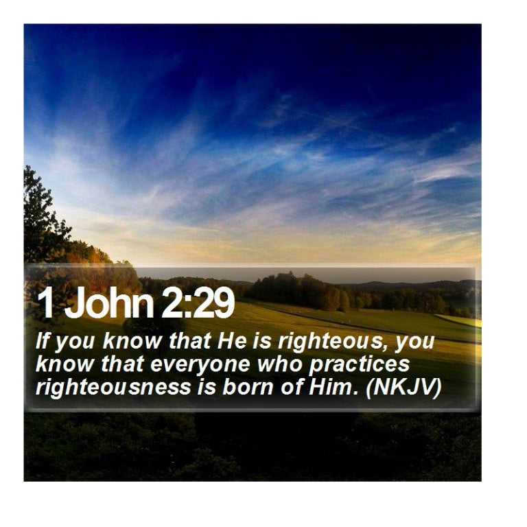 1 John 2:29 - Daily Bible Verse