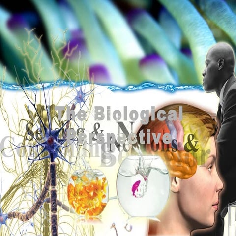 Biological Bases of Behavior