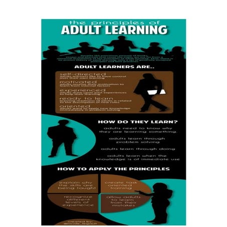 Principles of Adult Learning Infogrraphic