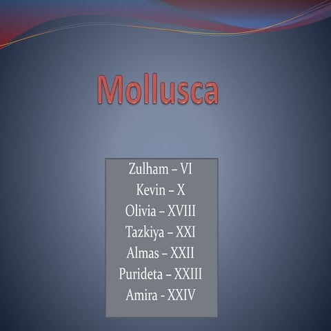 [Indonesia]Mollusca