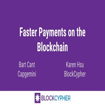Faster Payments on the Blockchain