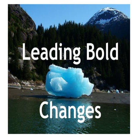 Leading Bold Changes