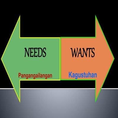 Unlimited Wants and Needs