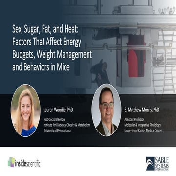 Sex, Sugar, Fat, and Heat: Factors That Affect Energy Budgets, Weight Managem...