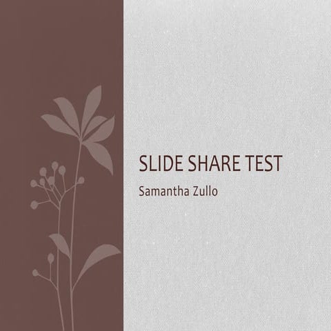 Basic test taking tips student handout | PDF