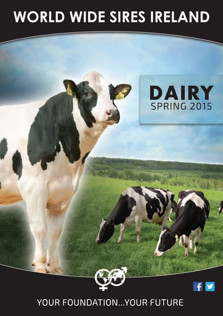 Slideshare  wws spring 2015