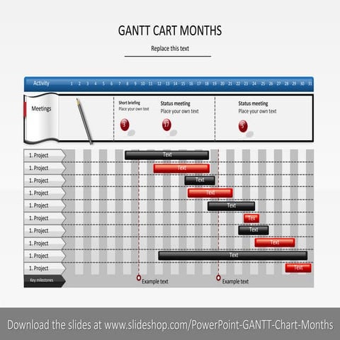 Gantt Chart Months