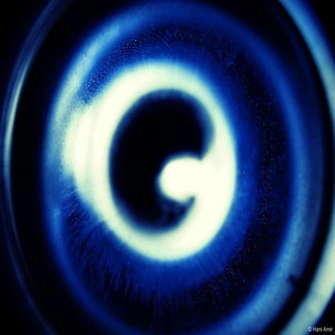 really quick natives immigrants visitor resident