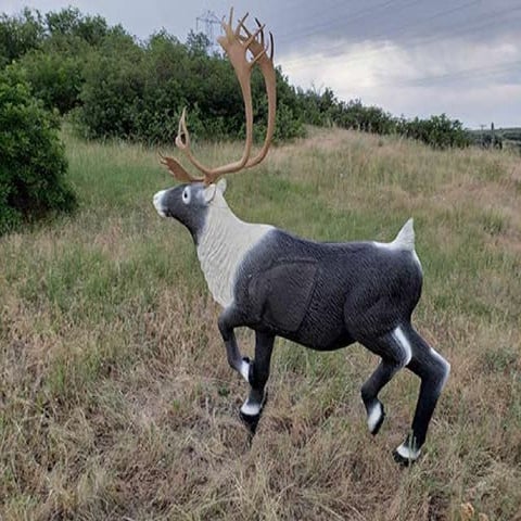 HRCA 3D Archery Range Targets