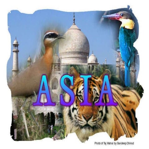 Countries in Asia | PDF