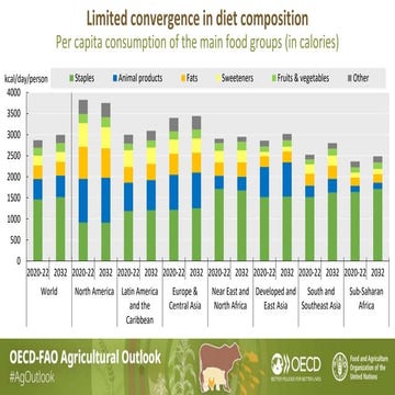 The OECD-FAO Agricultural Outlook 2024-2033 | PPTX