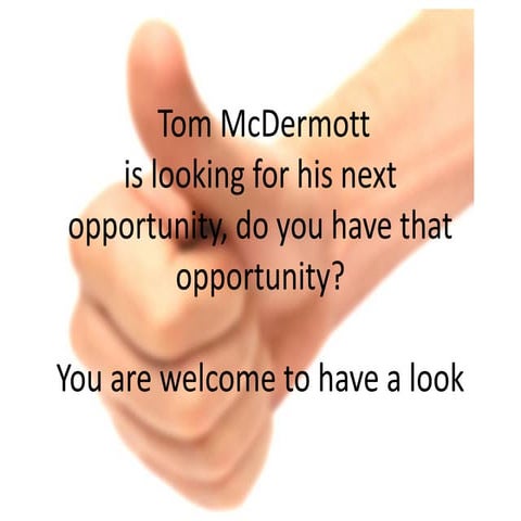 Management Experience Overview