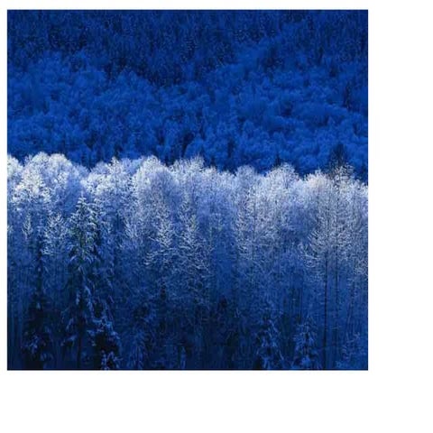 Slide show for uhd website 1