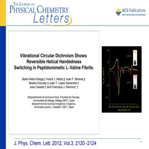 jz300725d_Ramirez_Presentation