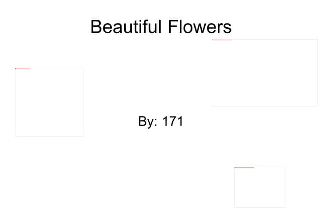 World Cultures Flower Presentation  171