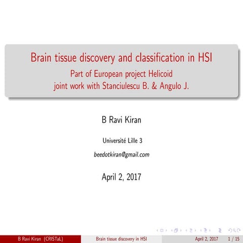 Brain tissue discovery and classification in HSI