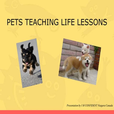 Slides   Pets Teaching Life Lessons