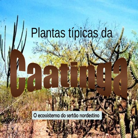 Plantas Tìpicas da Caatinga | PPT