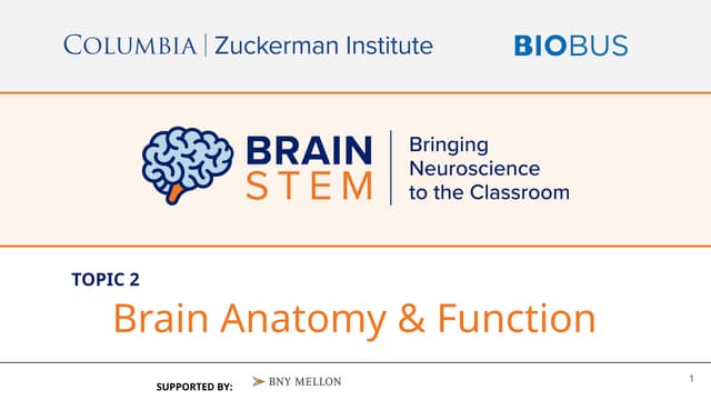 Slides Topic 2 Brain Anatomy Function Pptx Slides Topic 2 Brain Anatomy Function Pptx