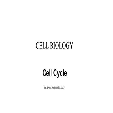 Cell cycle in biology for undergrad students