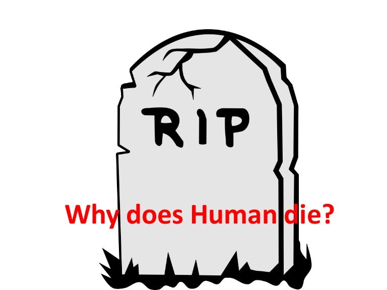 Why Human dies Why Science can't make Human Immortal like Bacteria