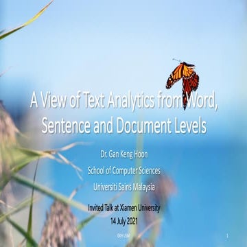 A View of Text Analytics from Word, Sentence and Document Levels 