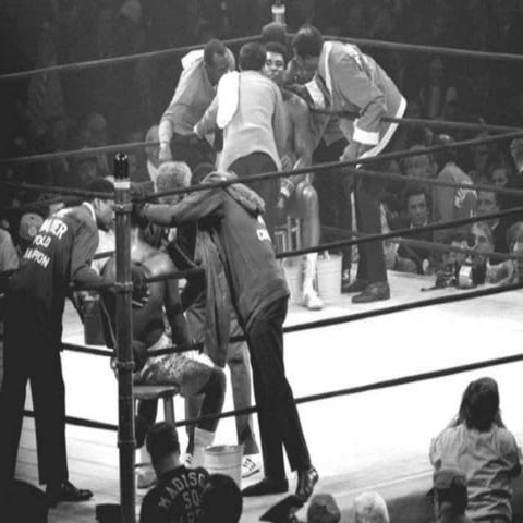 The Fight of the Century by Todd Jacobucci