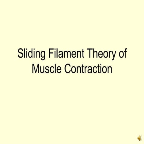 Sliding Filament Theory | PPT