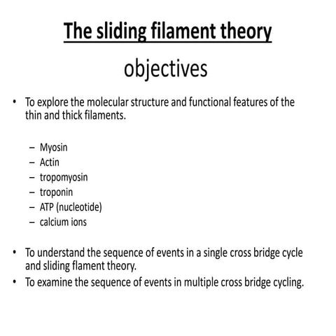 Sliding filament theory by Dr. S. N. Singh | PPT