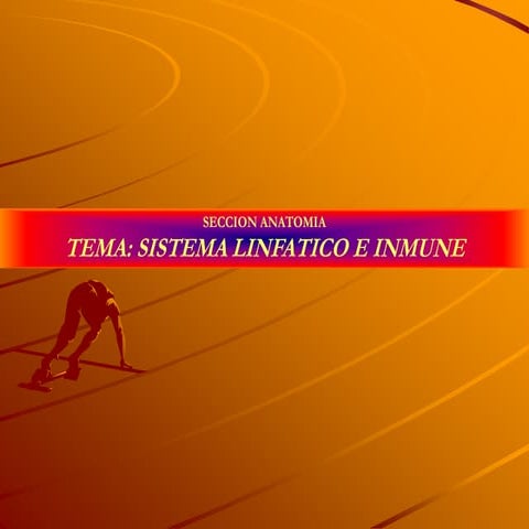 S LINFATICO e INMUNE.pdf PRESENTACIOON DR