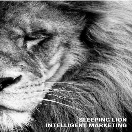 INTELLIGENT MARKETING - SLEEPING LION